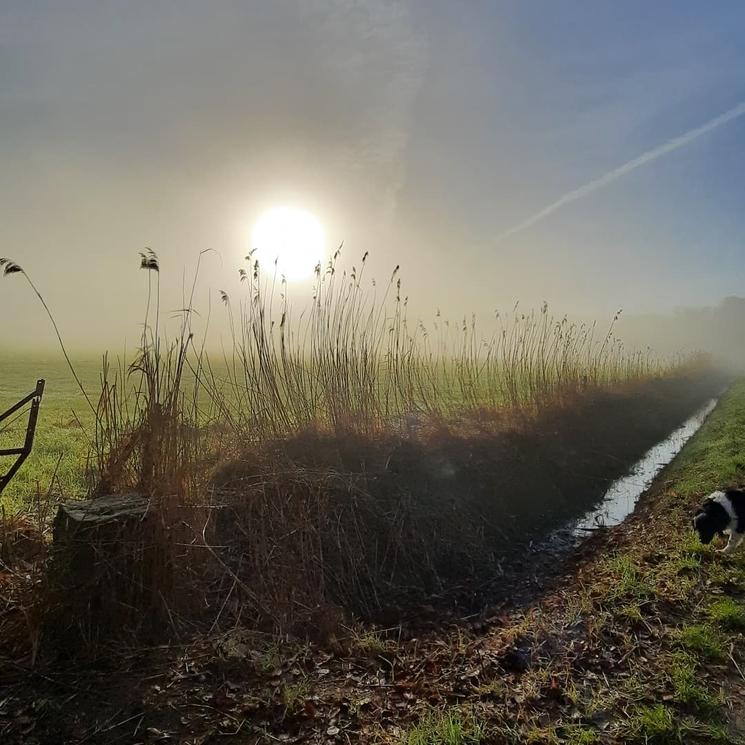 Polder Ramplaankwartier (Photo: V. Lacomme)