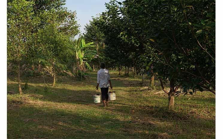 Photo Sindora Kampot Poivre Photo fournie 