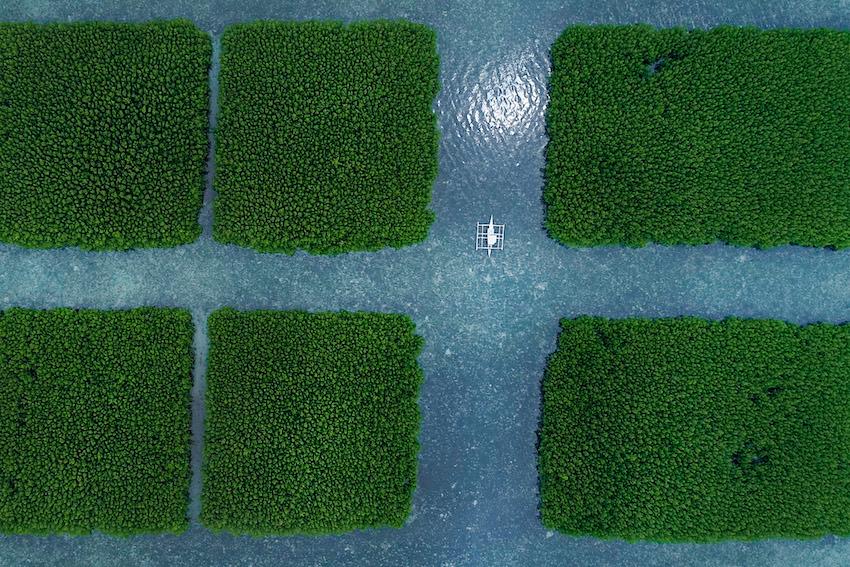 photo 2 arthur perset nadir