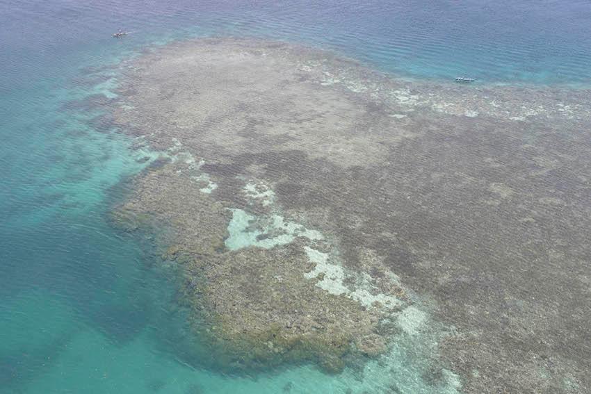 Photo 4 arthur Perset