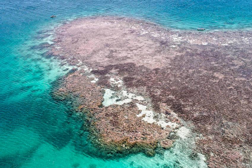 arthur perset photo 5