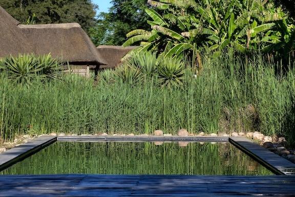 Piscine Addo African Home 