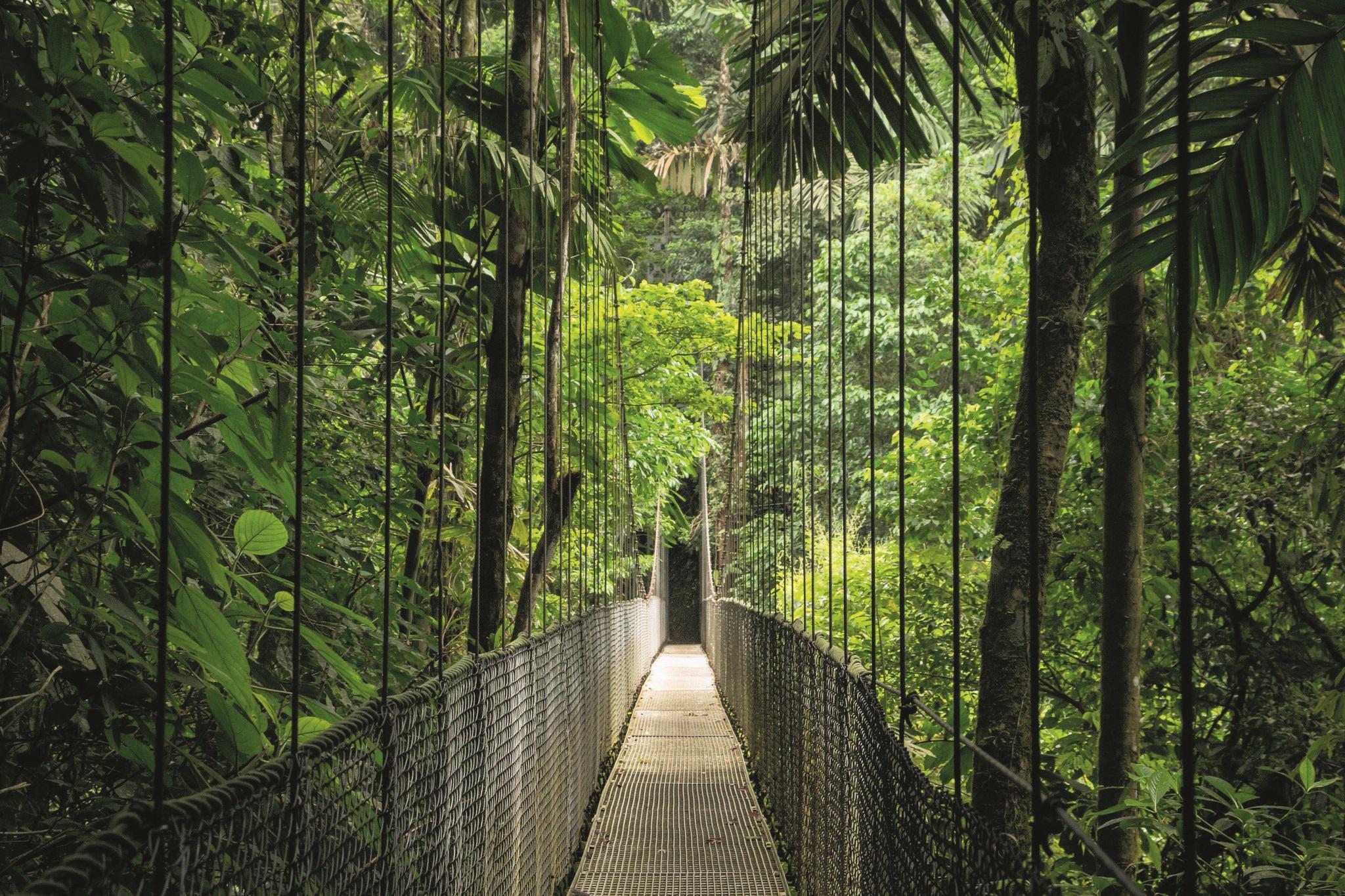 voyage - costa rica - londres mag