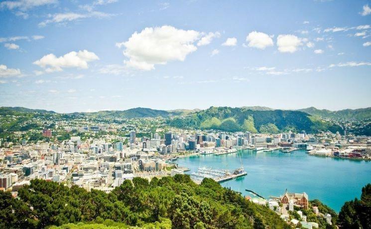 Que faire à Wellington 