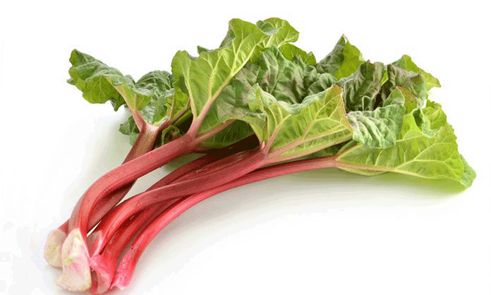 fields-chine-shanghai-fruits-legumes