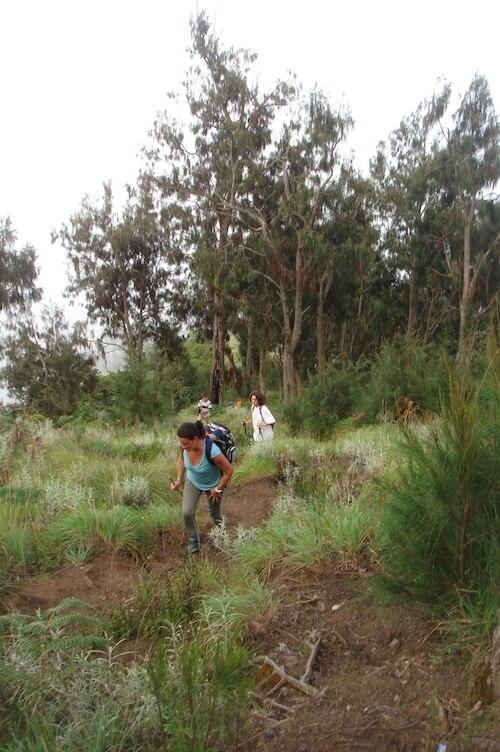 Groupe pendant l'ascension du mont Rinjani