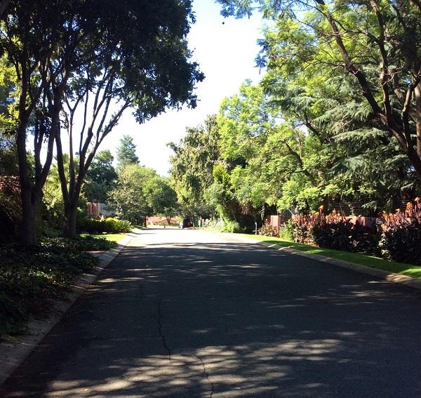 nathalie mary, rivonia, quartier, johannesburg, bons plans, histoire, se loger, adresses, résidents, français, francophone