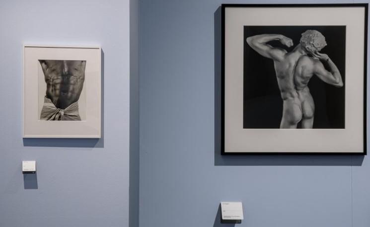 exposition Robert Mapplethorpe