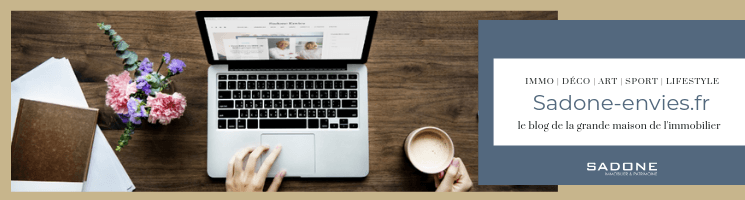 Sadone envies immobilier expatriés prestige 