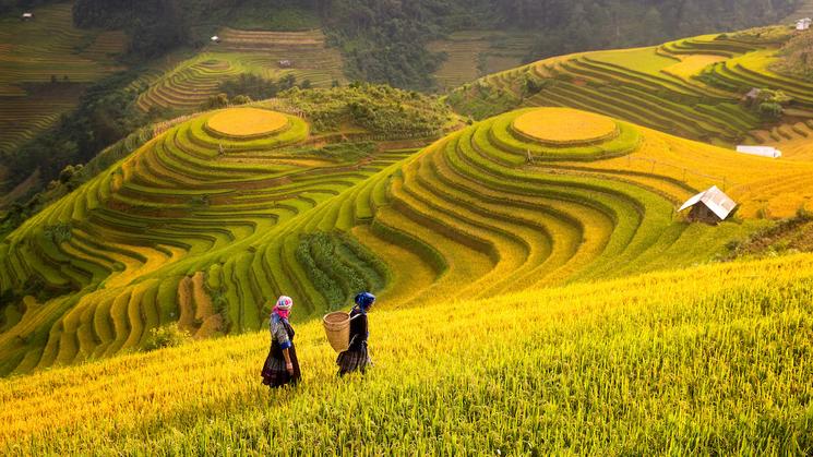 paysages Vietnam 
