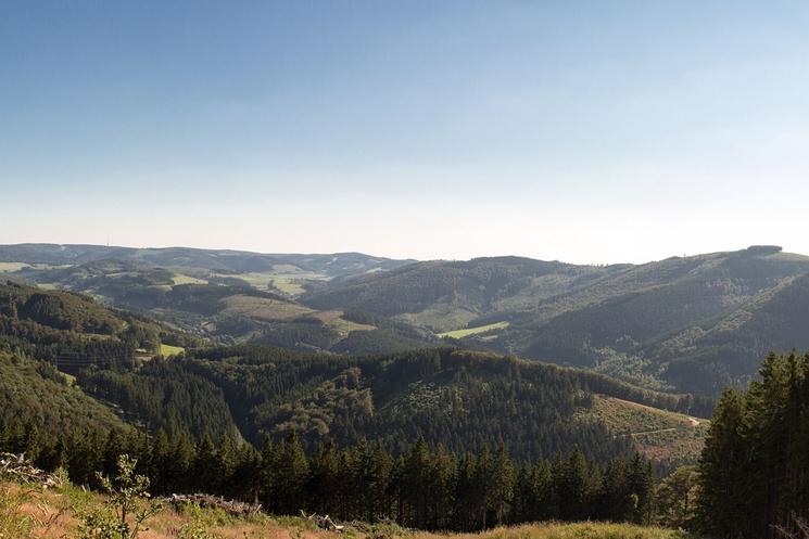 Sauerland