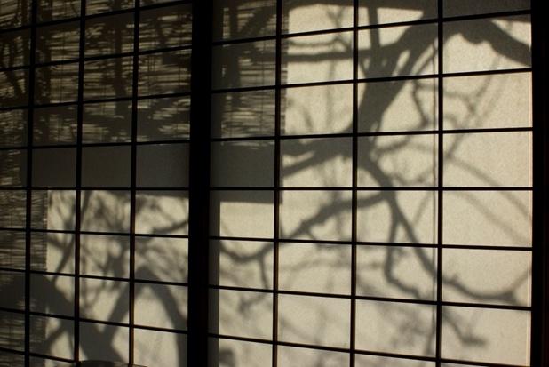 Shoji japon