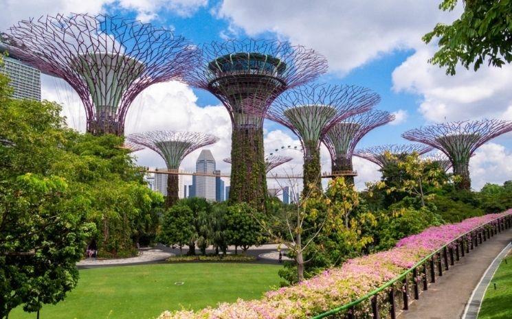 Singapour, ville arborée du futur 