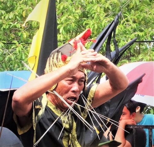 singkawan borneo festival