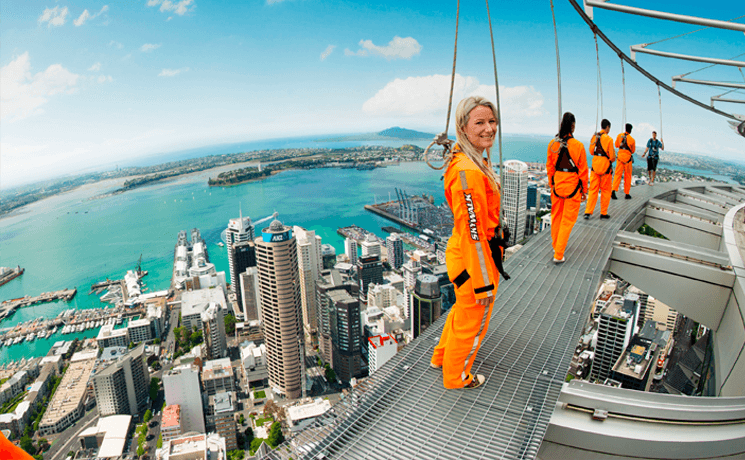 le petit journal auckland