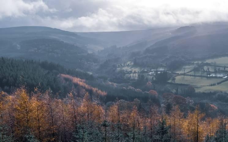 Slieve Bloom Mountains in Autumn