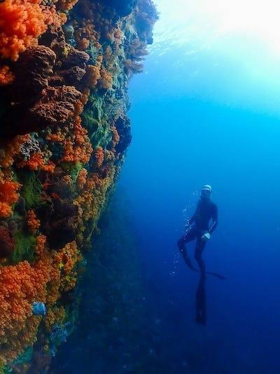 Snorkeling à Tumbak