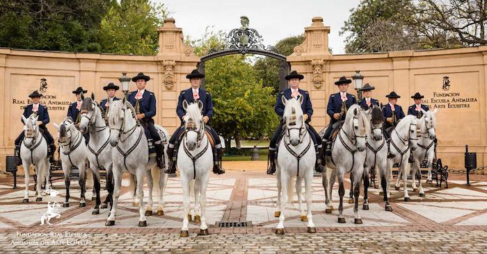 des chevaux et leurs cavaliers