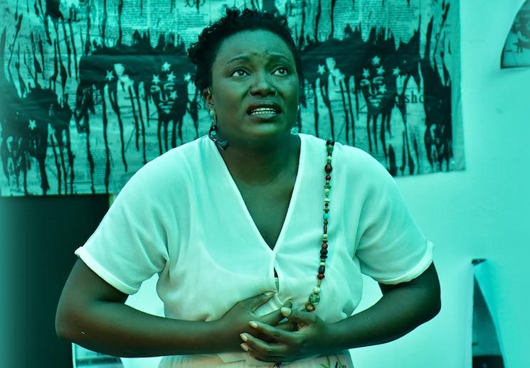 Strelitzia vibrant africa