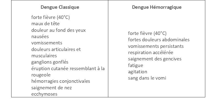 tableau dengue singapour