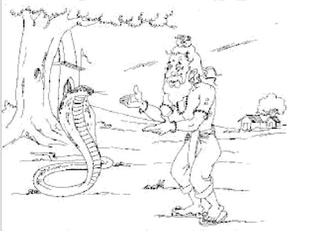 Illustration du conte sur le cobra