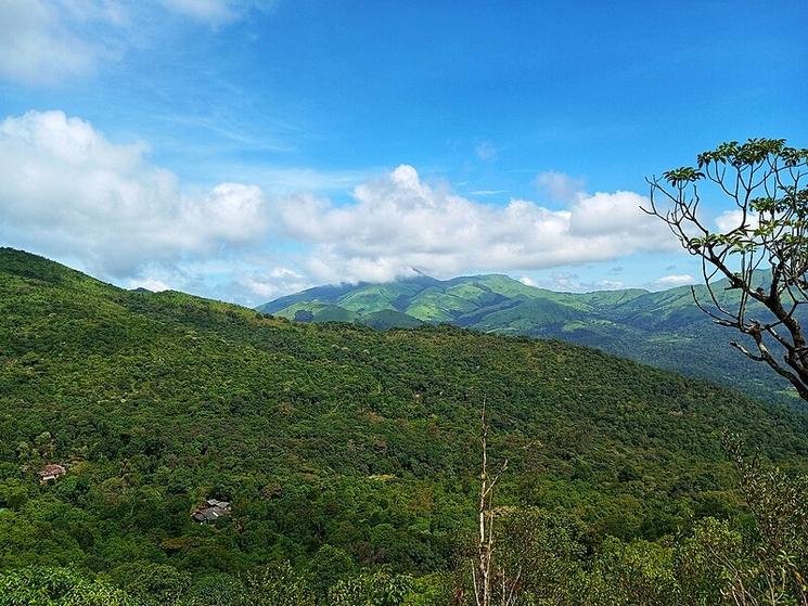 Le mont Thadiyandamol dans le Coorg en Inde du Sud