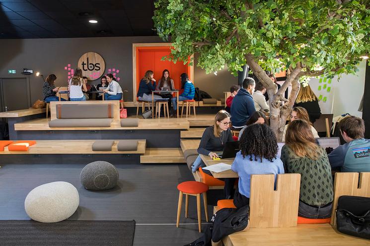 TBS école de commerce 