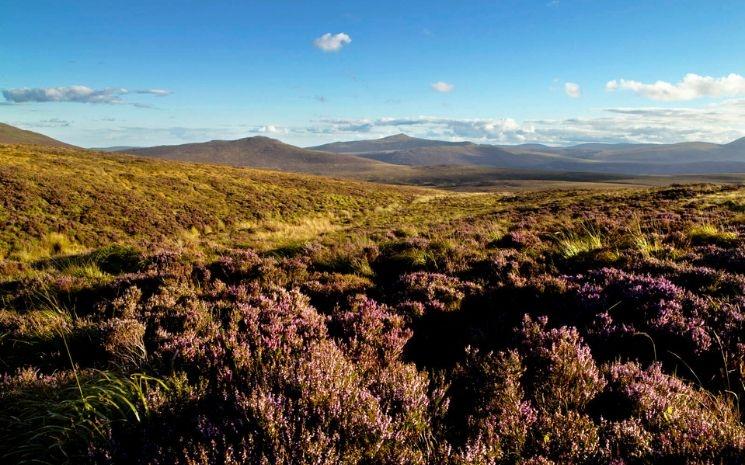 The Sally Gap, Wicklow Mountains