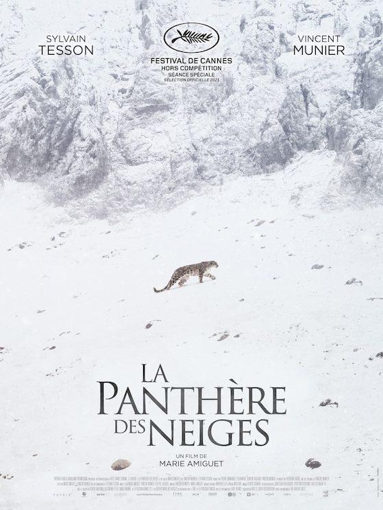 La pantheres des neiges