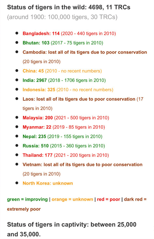 Tigres monde statistiques