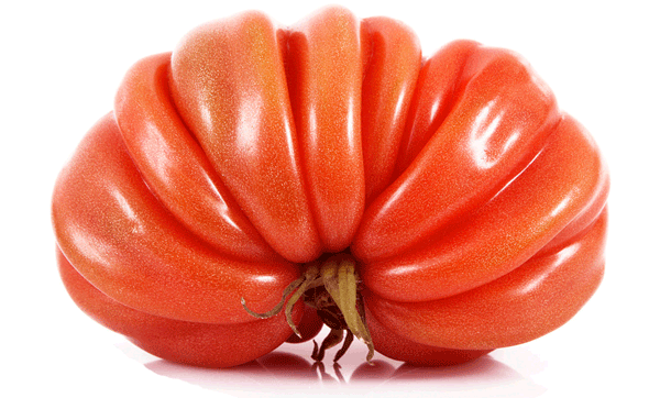 fields-chine-shanghai-fruits-legumes