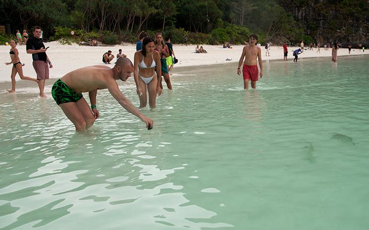 Un touriste essaye d'attirer un requin sur la plage de Maya Bay en Thailande