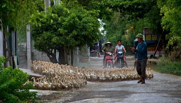 Le trafic dense du Vietnam