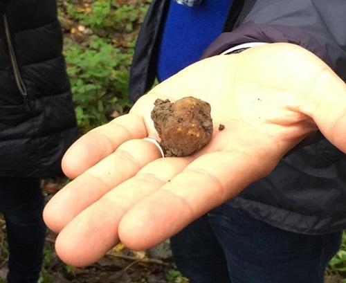 truffe cavée italie