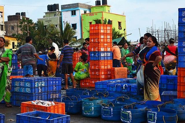 Le retour de pêche au koliwada de Versova