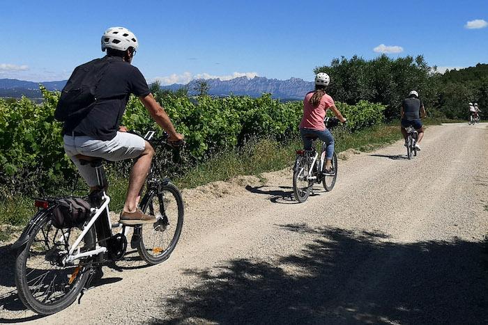 des personnes se promènent à velo entre les vignes