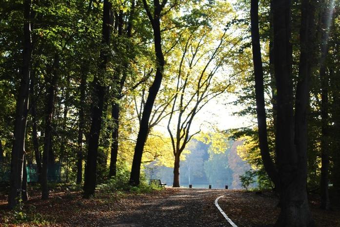 Volkspark Rehberge