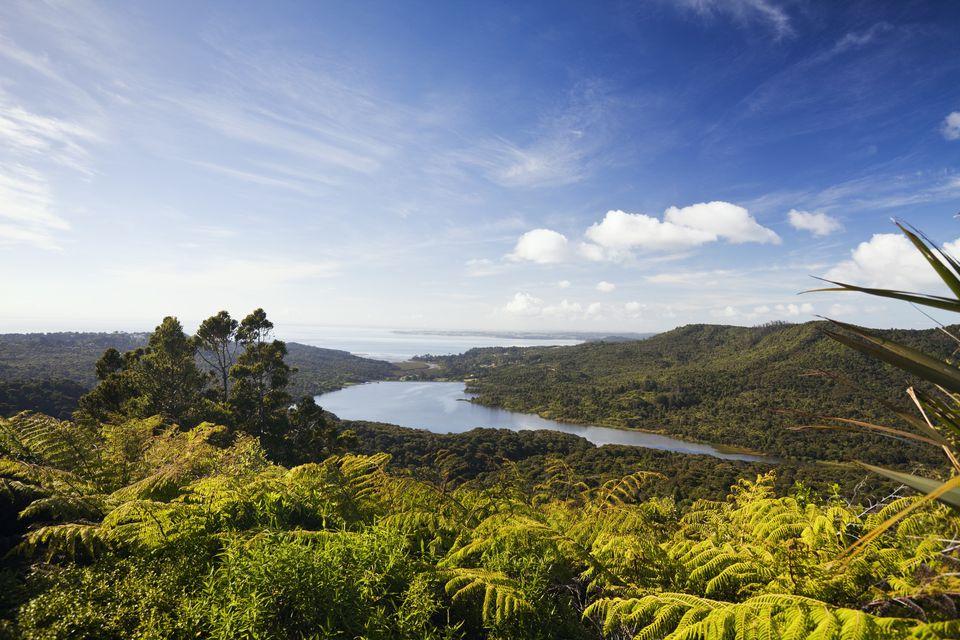 Waitakere Ranges