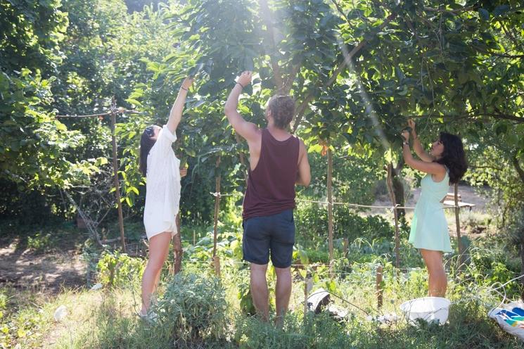 Il Giardino di Torricola