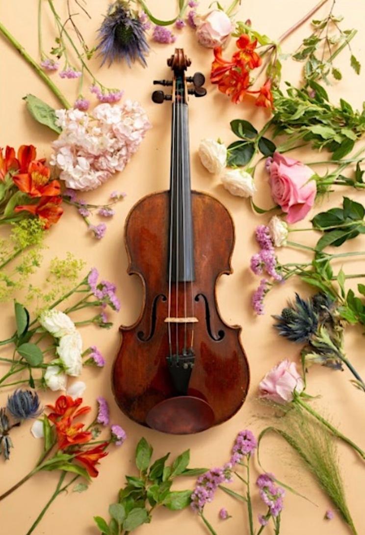 Un violon au milieu de fleurs