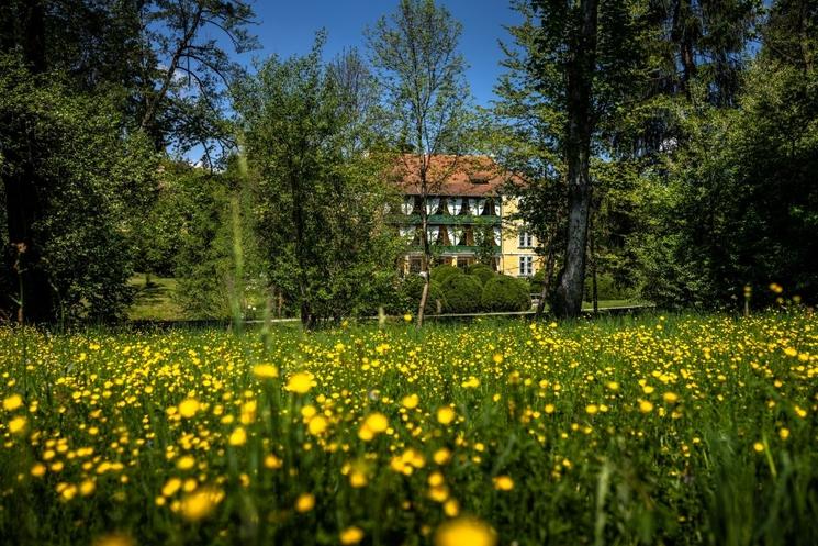 Zabola estate manoir