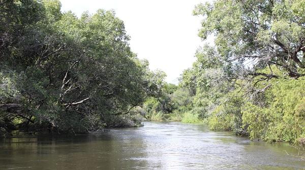 zambeze, fleuve, zambie, out of africa, jayesh taylor, livingstone, tourisme, petit journal, johannesburg, johannesbourg, afrique du sud, tourisme, voyages, découvertes