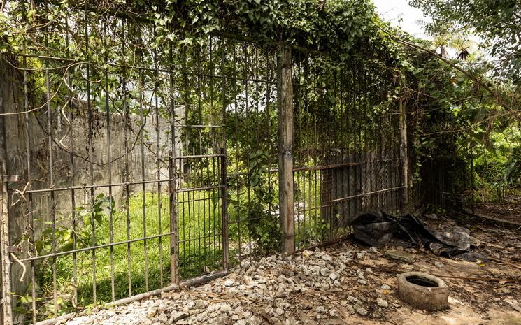 Vue d'une cage du zoo de Phuket apres la fermeutre