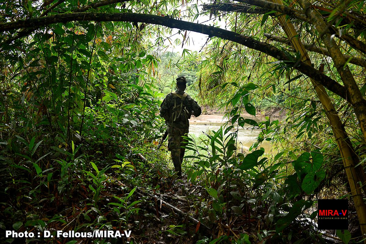 Petro Duque elections colombie democratie paix vote FARC ELN Fajardo