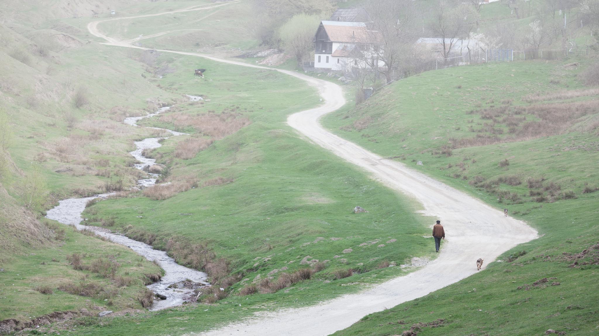 “Le retour”(Sibiu)