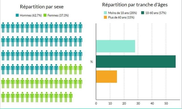 Infographie de la population française en Indonésie