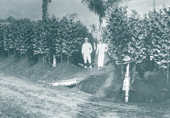 deux personnes devant leur plantation