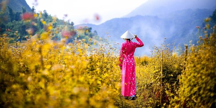 un ao dai dans la campagne vietnamienne 