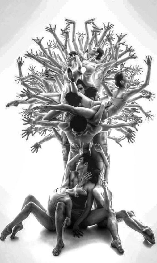 Centro Quiropráctico Allard