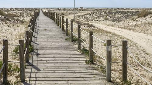 île Armona Algarve